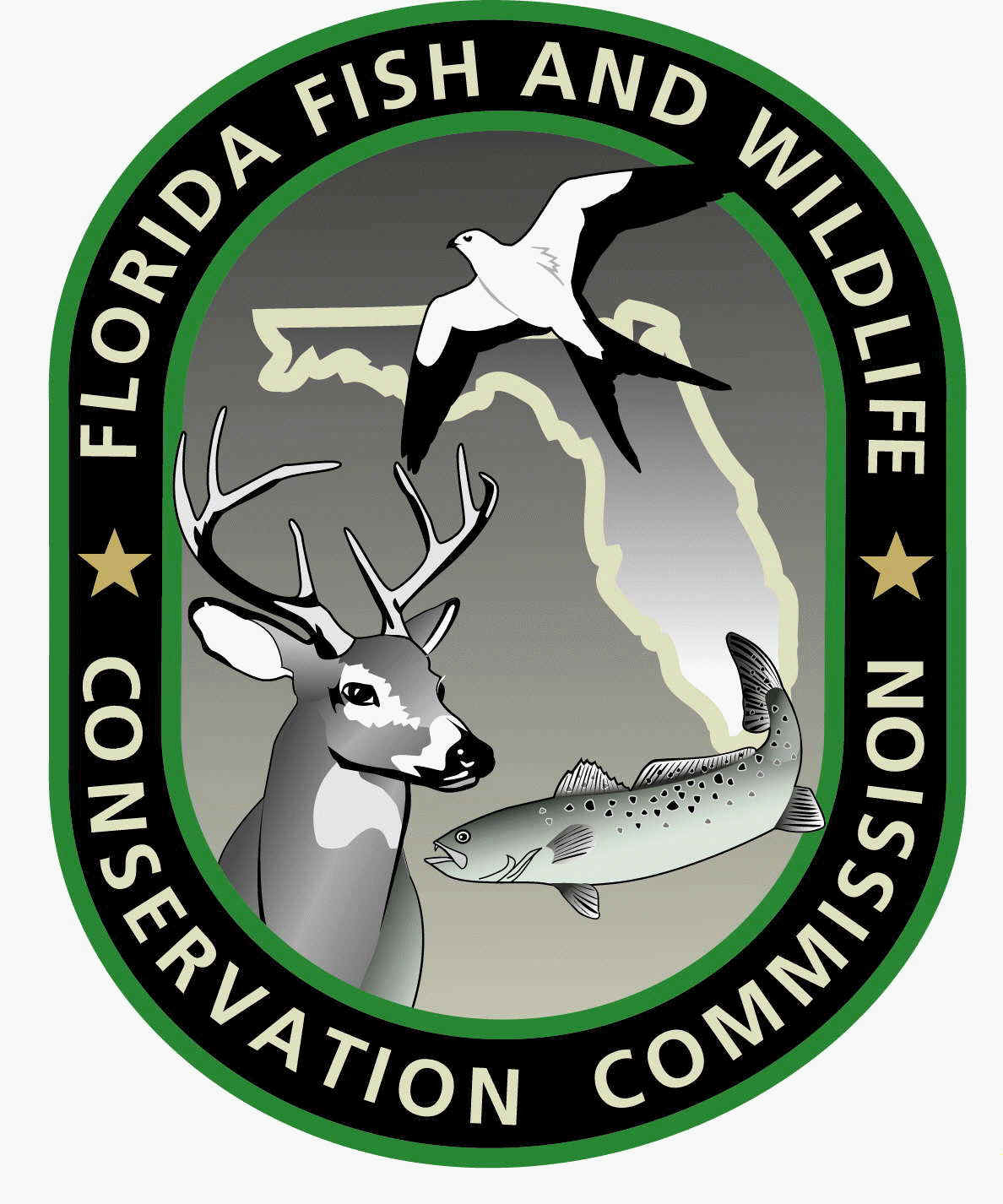 Myfwc fishing clearance